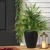 24" Pre-Lit Christmas Norfolk Cedar Artificial Greenery With Ground Stake - Wondershop™ 1 24" Pre-Lit Christmas Norfolk Cedar Artificial Greenery With Ground Stake - Wondershop™ -Wondershop GUEST 0524454d 42c0 4baa a1ff 1071bb7b5d74
