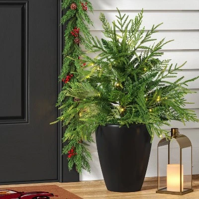 24" Pre-Lit Christmas Norfolk Cedar Artificial Greenery With Ground Stake - Wondershop™ 3 24" Pre-Lit Christmas Norfolk Cedar Artificial Greenery With Ground Stake - Wondershop™