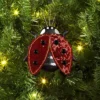 Christmas Fabric Lady Bug Ornament - Wondershop™ 1 Christmas Fabric Lady Bug Ornament - Wondershop™ -Wondershop GUEST 091f8f5d 4181 4113 a58a 0749db609af9