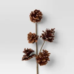 4pc Christmas Pick Set 2 Iced Pinecone 2 Red Berry With Pinecones - Wondershop™ 6 4pc Christmas Pick Set 2 Iced Pinecone 2 Red Berry With Pinecones - Wondershop™ -Wondershop GUEST 0da78f5f c518 4aad be7b 34dde7e949b2