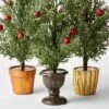 3pc Decorative Potted Faux Greenery Tree - Wondershop™ 1 3pc Decorative Potted Faux Greenery Tree - Wondershop™ -Wondershop GUEST 14075050 d5a6 4ff4 b83d 36bcf78b0244