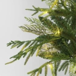24" Pre-Lit Christmas Norfolk Cedar Artificial Greenery With Ground Stake - Wondershop™ 8 24" Pre-Lit Christmas Norfolk Cedar Artificial Greenery With Ground Stake - Wondershop™ -Wondershop GUEST 517b159a ab98 4251 ad4a 9a78c2d8852a