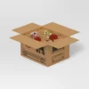 5"x4.75" Bullseye Delivery Truck Christmas Gift Box - Wondershop™ -Wondershop GUEST 6b43c54a 8f0a 4eb2 bd3a 383d7c5b089c