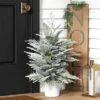 3' Pre-Lit Potted Flocked And Glittered Norfolk Artificial Christmas Tree - Wondershop™ -Wondershop GUEST 6f9df63f d6f9 48b6 82ce 43fbb803932e