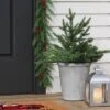 20" Pre-lit LED Battery Operated Mixed Pine Mini Christmas Artificial Pot Filler Warm White Lights - Wondershop™: Indoor/Outdoor -Wondershop GUEST 8dc5022d d693 44e3 bc72 c2ca704d3d97