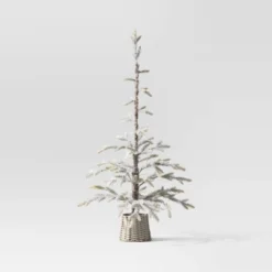 Wondershop 29 Wondershop -Wondershop GUEST db7cbea8 12d7 4ad4 9180 3b21663b2bd1