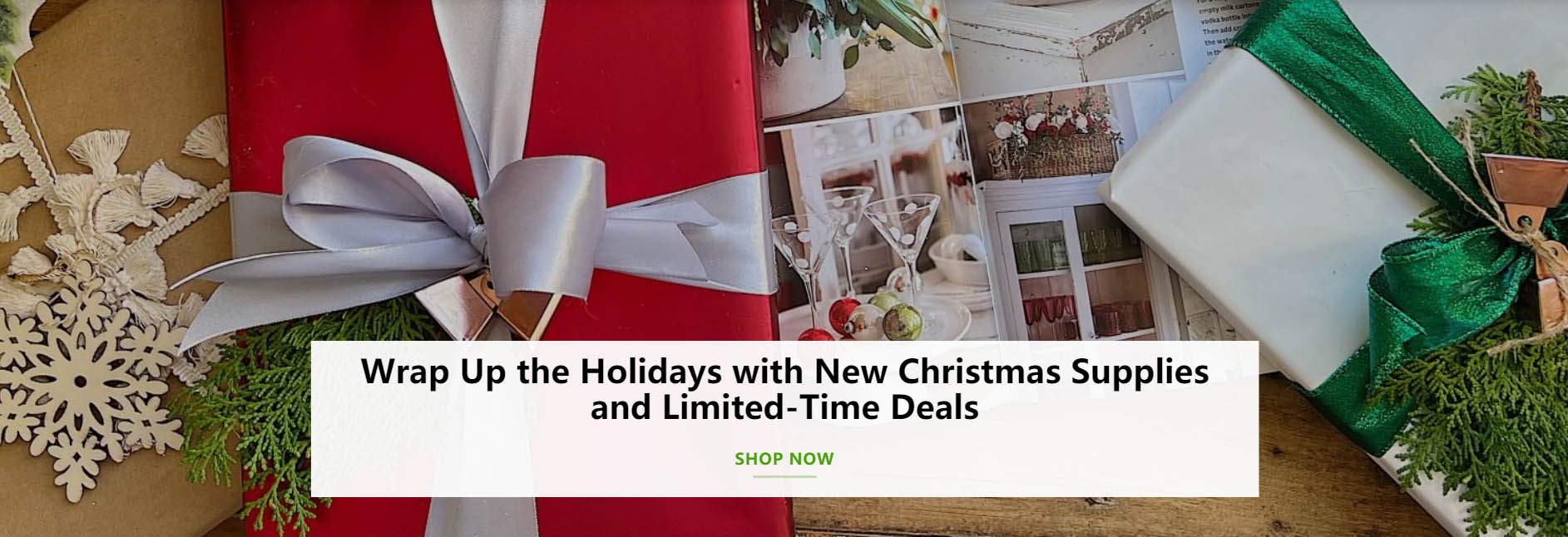 Wondershop -Wondershop dfgdfg